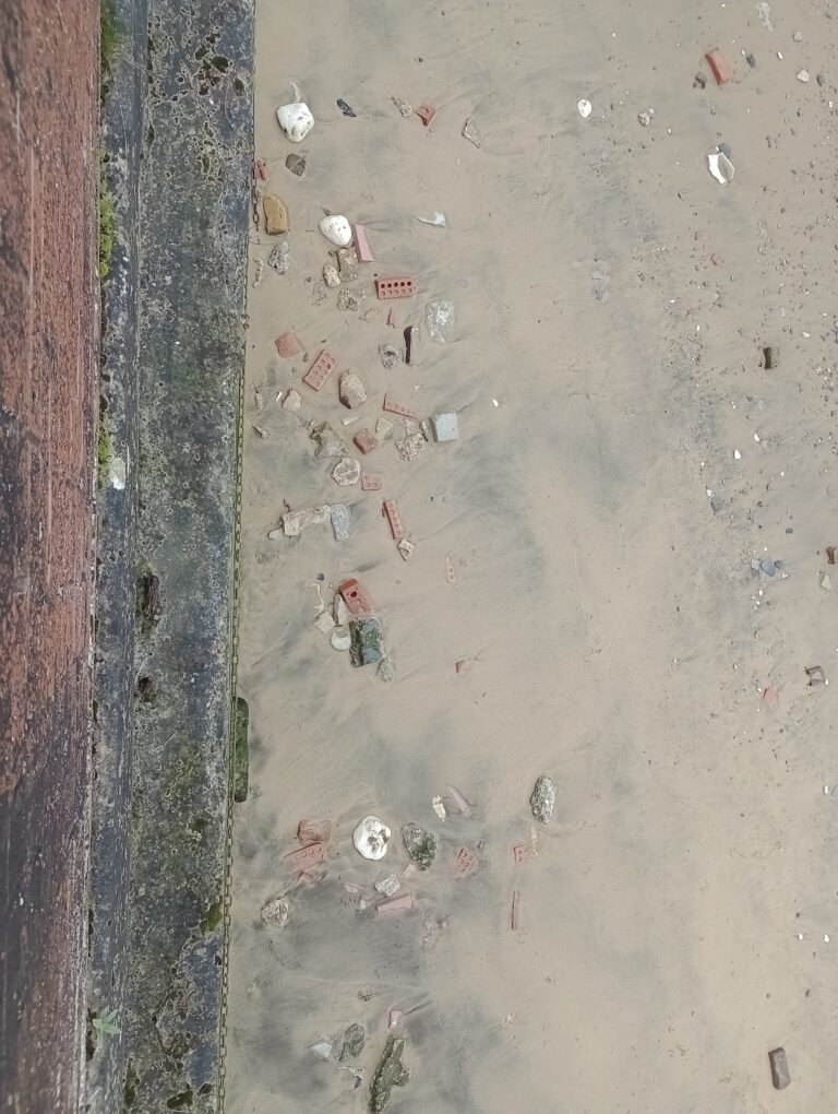 bank from the Riverside Path